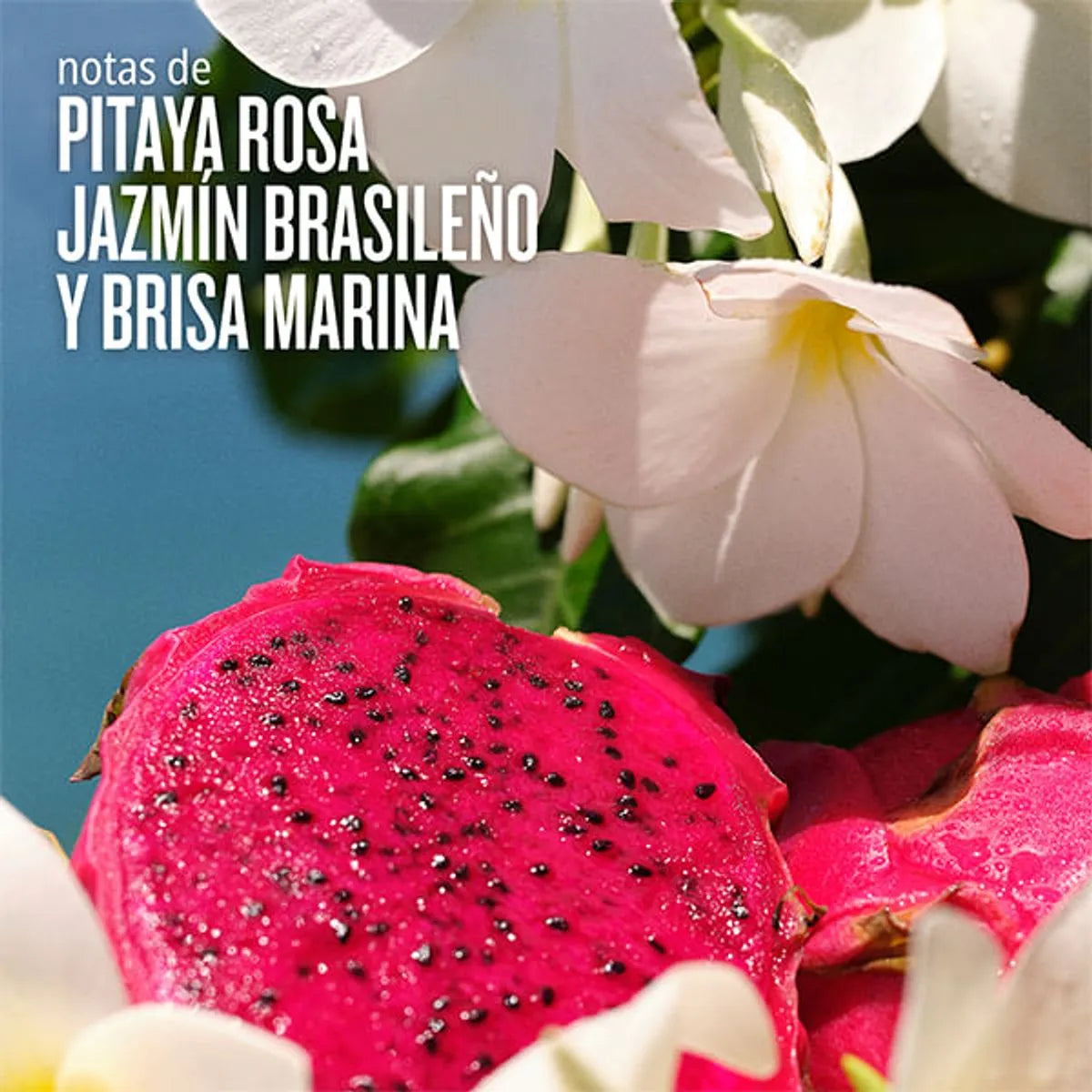 Sol De Janeiro - Bruma de Cuerpo y Pelo Cheirosa ’68 Fragrance Splash