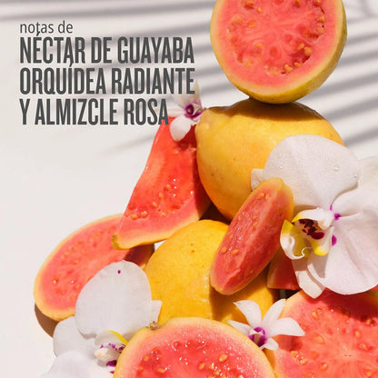 Sol De Janeiro - Bruma de Cuerpo y Pelo Cheirosa ’48 Fragrance Splash