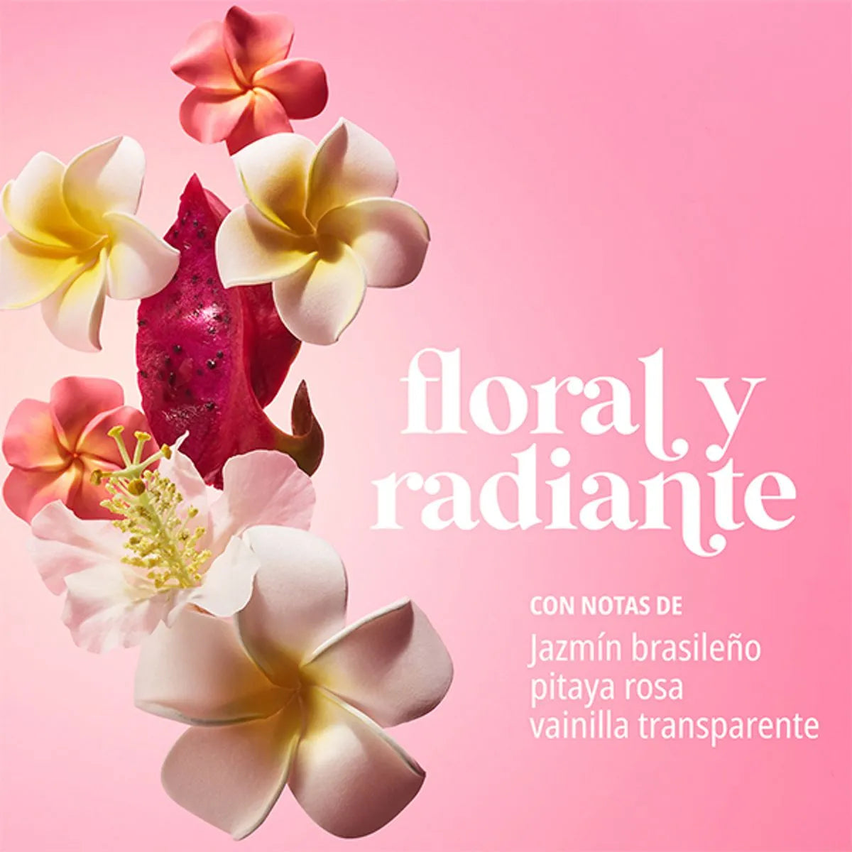 Sol de Janeiro – Crema Corporal Beija Flor Elasti-Cream 68